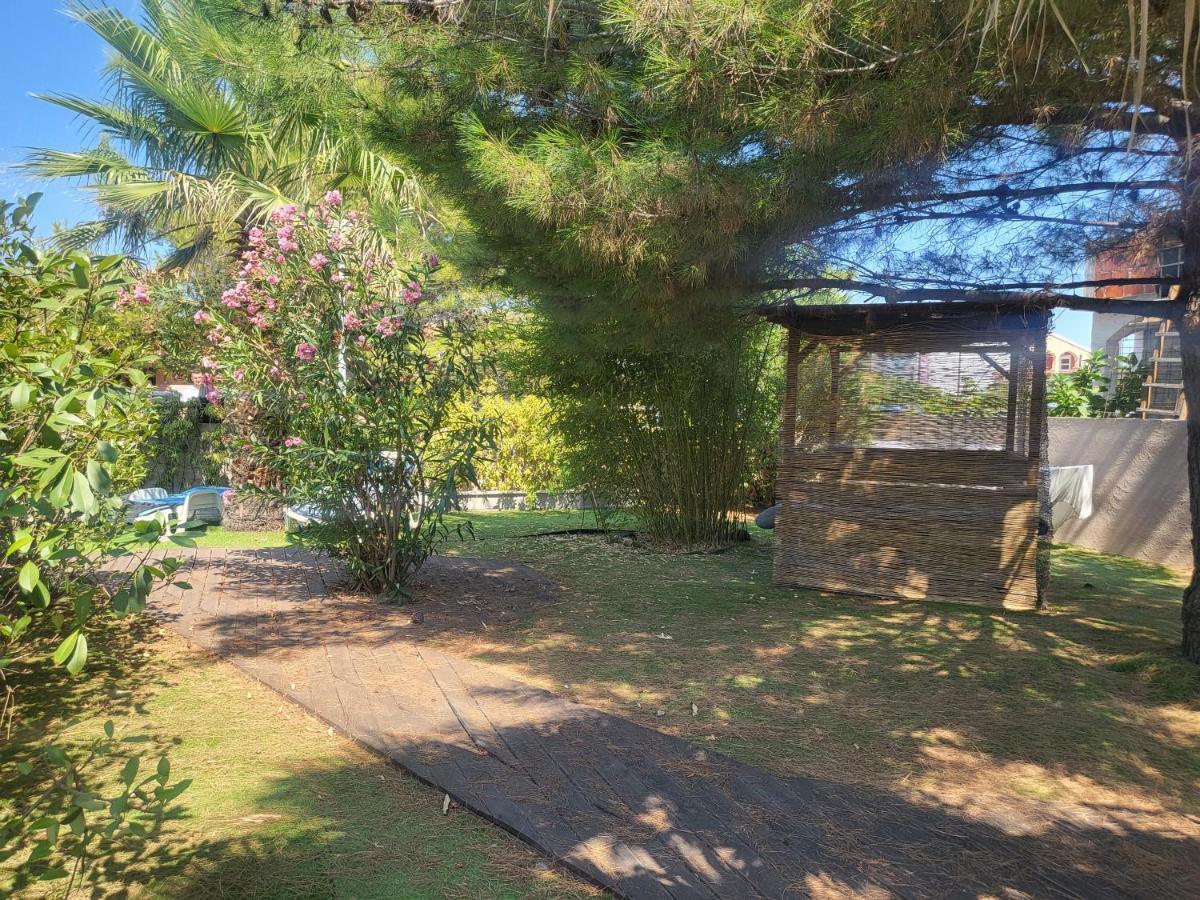 Villa Garden Vir Exteriér fotografie